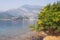 Autumn. Garnet bush with ripe fruits on the shore of the Bay of Kotor Adriatic Sea on a foggy day. Montenegro