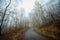 Autumn gloomy forest on foggy morning an road. Gloomy misty country road in autumn forest