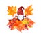 Autumn gnome on bunch of leaves with maple leaf in hands. Seasonal artistic design for season card. Cute fairy tale