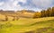 Autumn golden grassland in Xinjiang