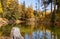 Autumn golden larch forest landscape reflected in little lake or pond. Idyllic and tranquil fall scenery