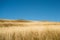 Autumn Grass Hill and Clear Blue Sky