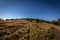 Autumn grass on the meadow near Dlouhe Strane