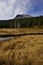 Autumn Grasses below Lassen Peak