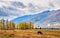 Autumn grassland in Xinjiang