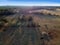 Autumn Grazing: Aerial View of Ranch Cows Enjoying Hay