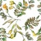 Autumn green acacia leaves. Leaf plant botanical garden floral foliage. Seamless background pattern.