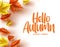 Autumn greeting card vector template. Hello autumn text with colorful dry maple and oak leaves