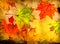 Autumn grunge background