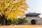 Autumn in Gyeongbukgung Palace,Korea.