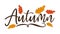 Autumn - Hand Lettering text with hand drawn oak leaves for autumnal season.