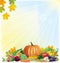 Autumn harvest background