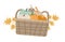 autumn harvest basket with different pumpkins happy thanksgiving holiday festival celebration concept