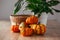 Autumn harvest colorful squashes and pumpkins in different varieties. Wood background