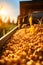 autumn harvest, combine harvester separating grain , sunny day