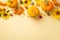 Autumn harvest concept. Top view photo of sunflowers vegetables pumpkins rowan berries walnuts and physalis on isolated beige