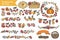 Autumn Harvest.Doodle fruits,berries,decor set