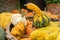 Autumn harvest in a farm market. Decorative pumpkins in a basket, close up