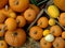 Autumn - harvest festival - Halloween - Thanks Giving: a colourful arrangement of pumpkin, marrow, gourdes and others