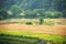 The autumn harvest in the fields