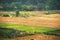 The autumn harvest in the fields