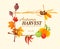 Autumn harvest frame for thanksgiving day. Vector illustration. Illustrative editorial use only.