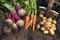 Autumn harvest of fresh raw carrot, beetroot and potatoes in garden. Harvesting organic vegetables