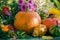 Autumn harvest garden pumpkin fruits colorful flowers plants