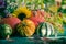 Autumn harvest garden pumpkin fruits colorful flowers plants