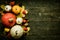 Autumn Harvest and Holiday still life. Happy Thanksgiving Background. Selection of various pumpkins on dark wooden background.