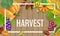 Autumn harvest plants on wood background