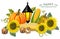 Autumn harvest pumpkin and sunflower Vector. Fresh vegetables realistic 3d illustrations. Thanksgiving cards