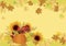 Autumn harvest with pumpkin and sunflowers background vector