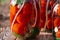 Autumn harvest of red tomatoes, horseradish and garlic in jars for preservation