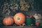 Autumn harvest still life: pumpkins, cranberries, walnuts and hanging bunches of healing herbs.