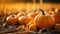 Autumn harvest vibrant pumpkin decoration celebrates Halloween season outdoors generated by AI