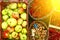 Autumn harvest - viburnum, mushrooms, apples
