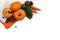 Autumn harvest on a white background. Top view. Pumpkins, carrots, dill, cones and rowan berries on orange and white