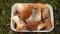 Autumn harvest of wild boletus mushrooms in basket close up top view.