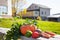 Autumn harvest on wooden bench