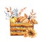 Autumn harvest in a wooden box, pumpkins and sunflowers. Thanksgiving and Halloween design template. Hello autumn