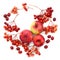 Autumn harvesting. Composition of fruits, berries on a white background. Apples, viburnum, dogwood
