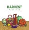 Autumn harvesting. Vector illustration of group of many fruit and vegetable