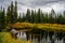 The autumn has arrived in Tweedsmuir South Provincial Park