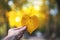 Autumn heart shaped leaf in a hand