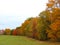 Autumn hedgerow borders around FingerLakes crop field
