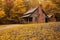 Autumn at the Henry Whitehead Cabin