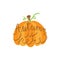 Autumn is here pumpkin vector illustration icon