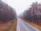 autumn highway road mist foggy weather