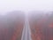 autumn highway road mist foggy weather